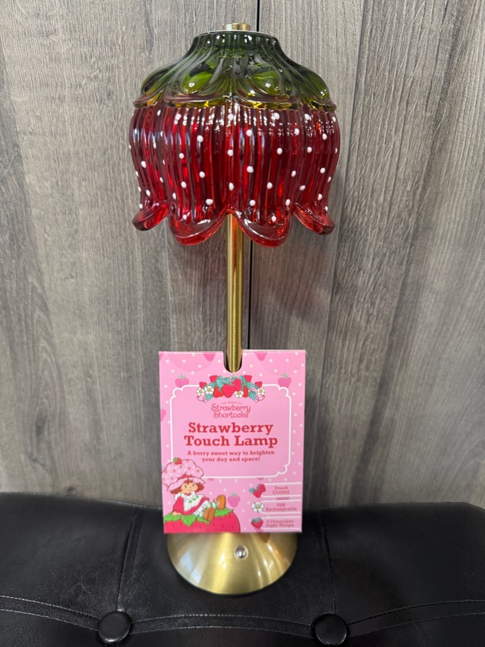 New The World Of Strawberry Shortcake Glass Shade Dimmable Touch Lamp